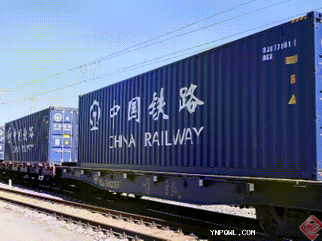 中老鐵路開(kāi)通后野象谷站貨運(yùn)量持續(xù)上漲